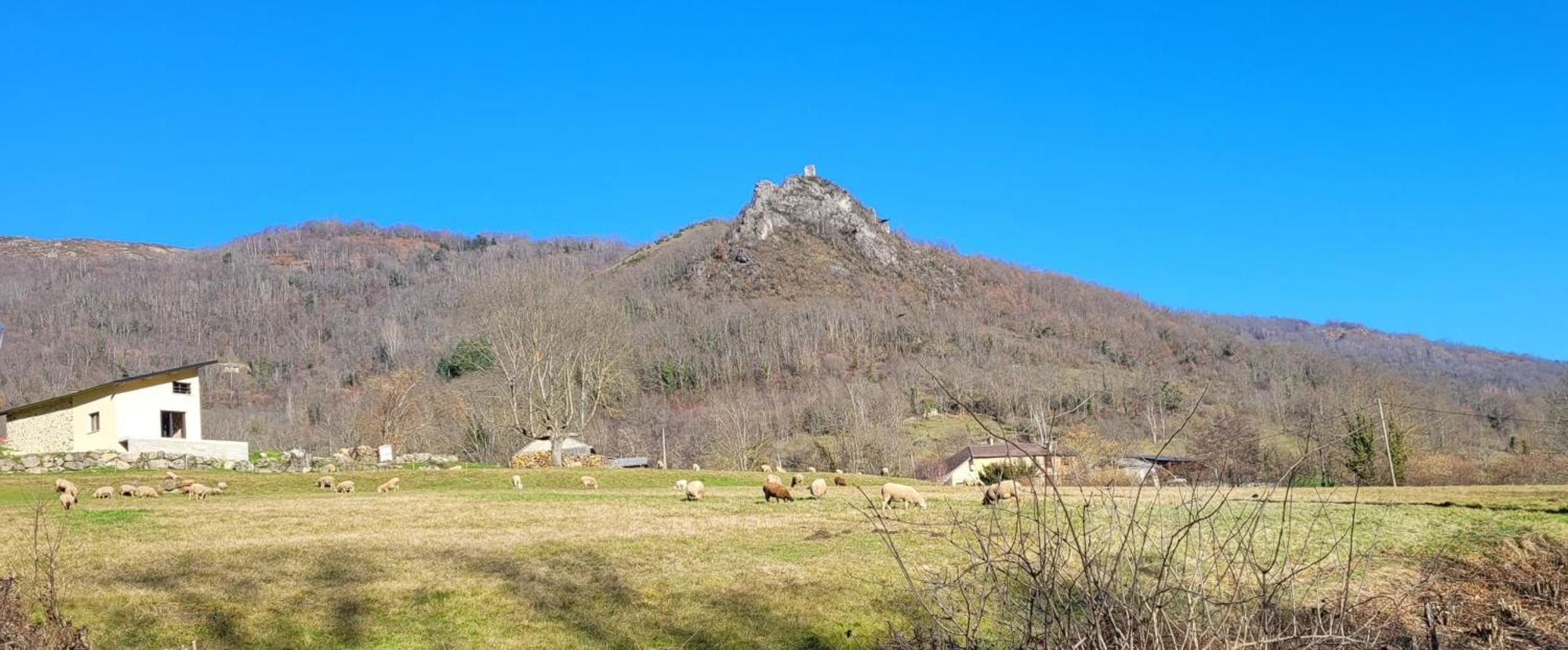 Les Chalets De Montorgueil Bedeilhac-et-Aynat Exterior photo